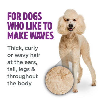 Curly & Wavy Coat Dog Shampoo