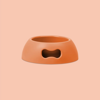 Pappy Bowl | Orange