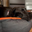 Urban Denim Lounge Pet Bed | Mandarin - Peticular