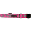Polka Dot Collar | Neon Pink on Grey - Peticular