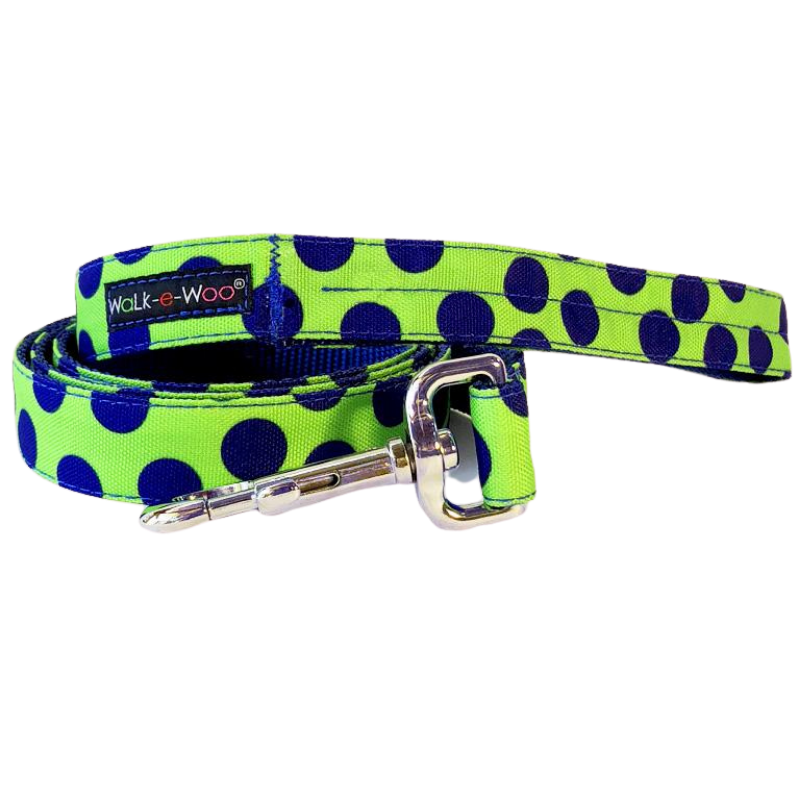 Polka Dot Collar | Neon Blue on Green - Peticular