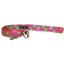 Polka Dot Collar | Neon Green on Pink - Peticular