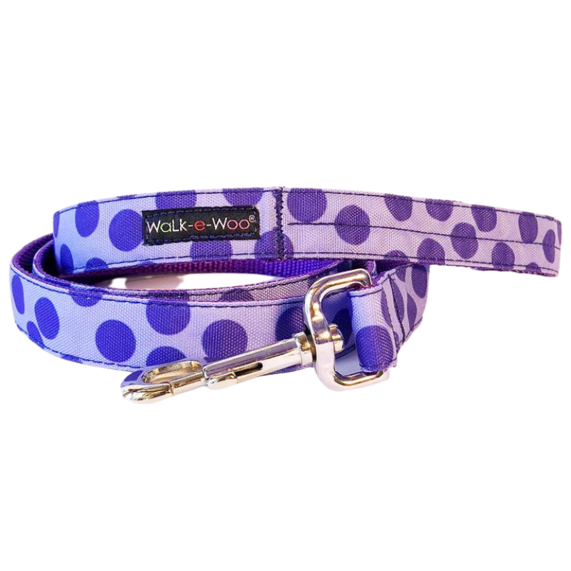 Polka Dot Collar | Purple on Lilac