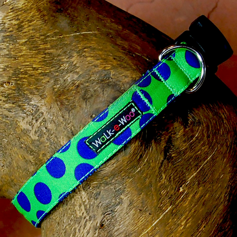 Polka Dot Collar | Neon Blue on Green - Peticular