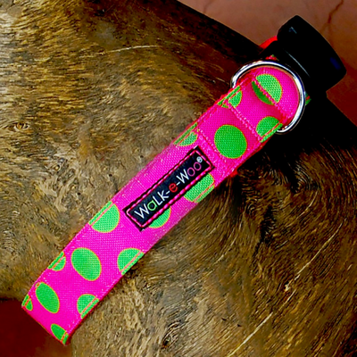Polka Dot Collar | Neon Green on Pink - Peticular