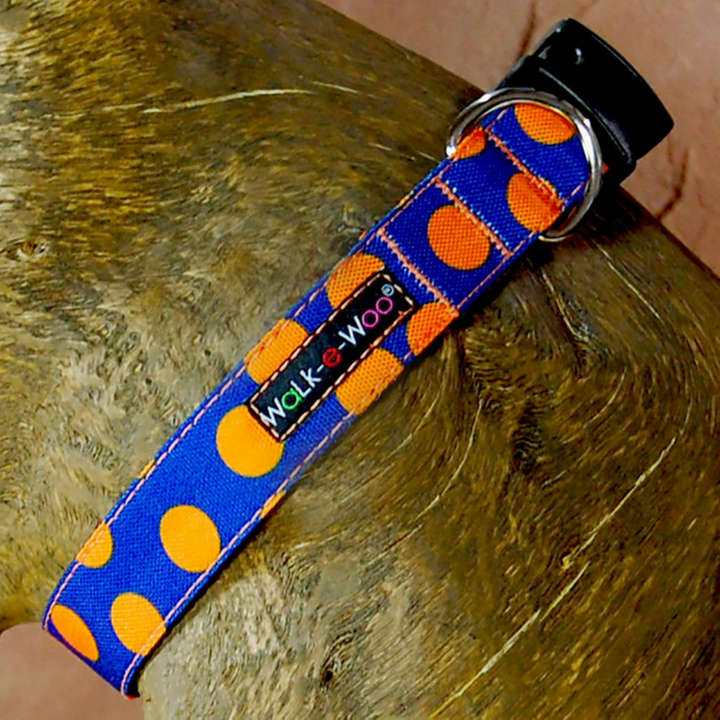 Walk-e-Woo Polka Dot Collar | Orange on Blue | Peticular