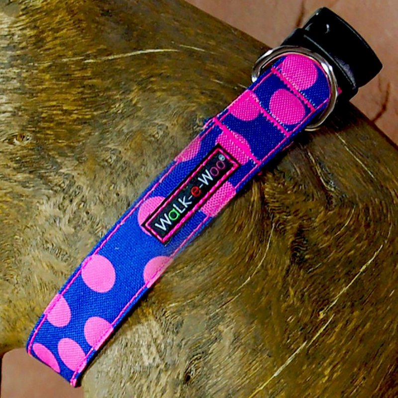 Polka Dot Collar | Pink on Blue - Peticular
