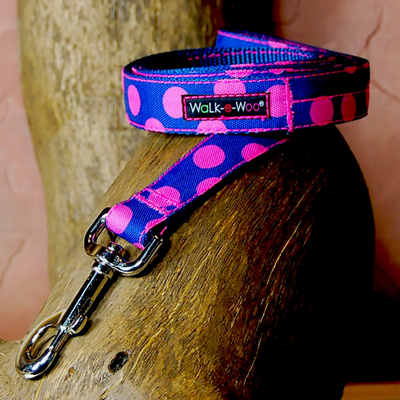 Polka Dot Lead | Pink on Blue - Peticular