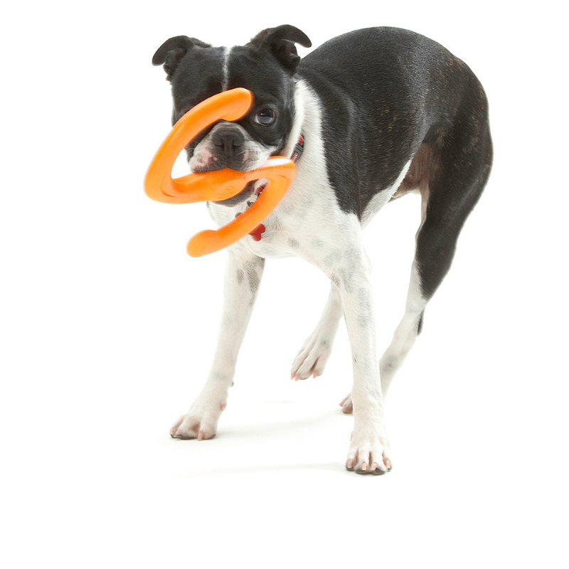 Bumi Tough Dog Toy - Peticular