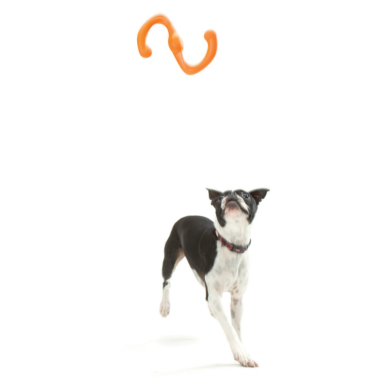 Bumi Tough Dog Toy - Peticular