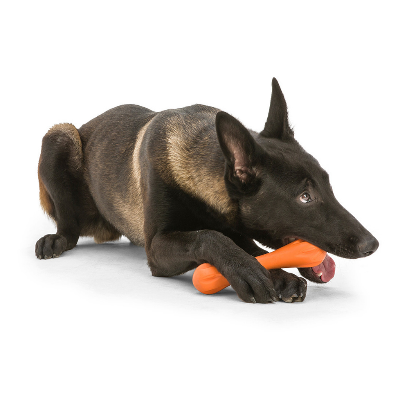 Hurley Tough Dog Toy - Peticular