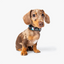 Wildling Pet Co. Acute Dog Collar | Peticular