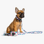 Wildling Pet Co. Acute Dog Collar | Peticular