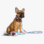 Wildling Pet Co. Acute Dog Leash | Peticular