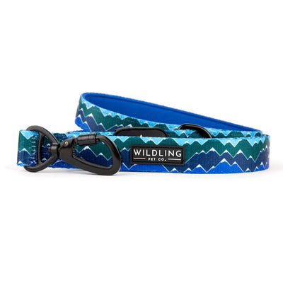 Adventure Dog Leash | Inca