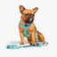 Wildling Pet Co. Aloha Dog Harness | Peticular