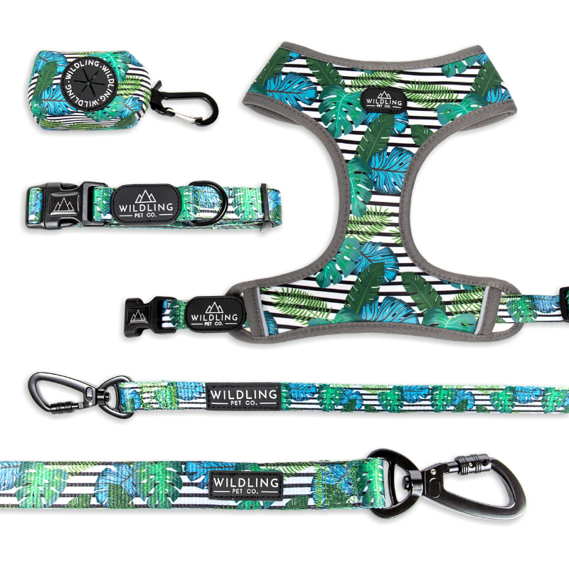 Wildling Pet Co. Aloha Dog Collar | Peticular