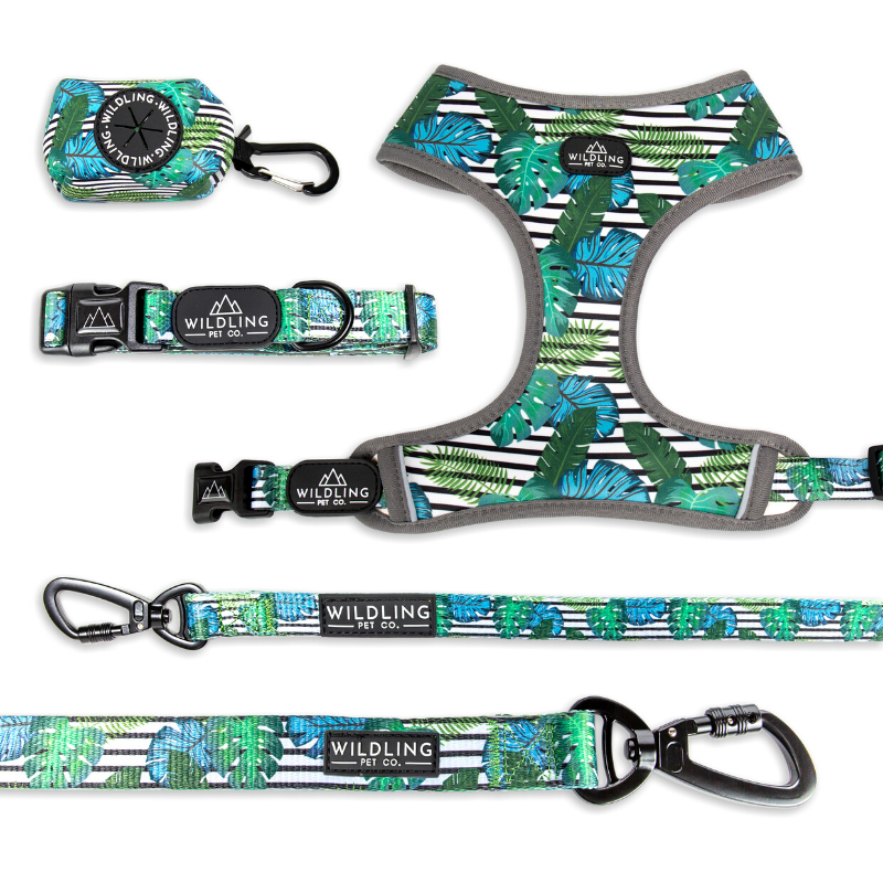 Wildling Pet Co. Aloha Dog Leash | Peticular