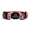 Bloomin Dog Collar