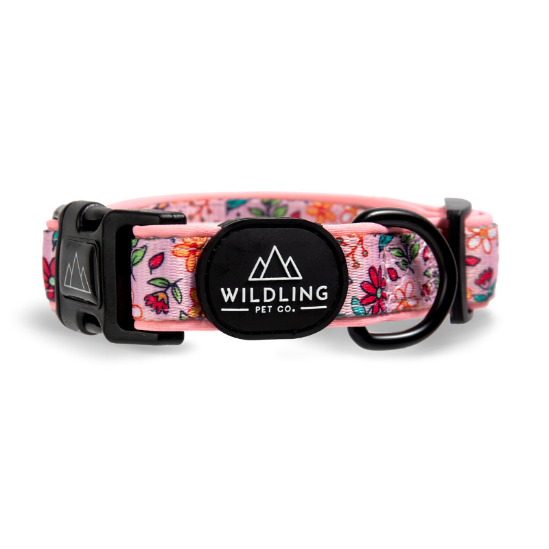 Bloomin Dog Collar