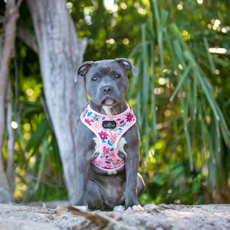 Bloomin Bow Tie