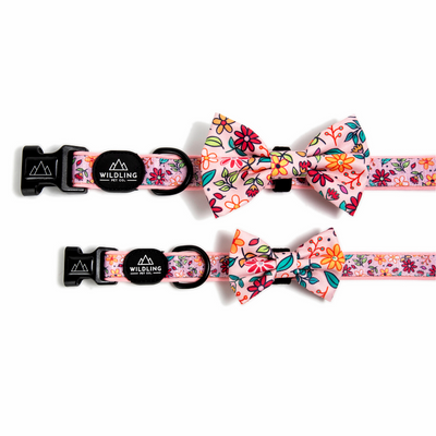 Bloomin Dog Collar