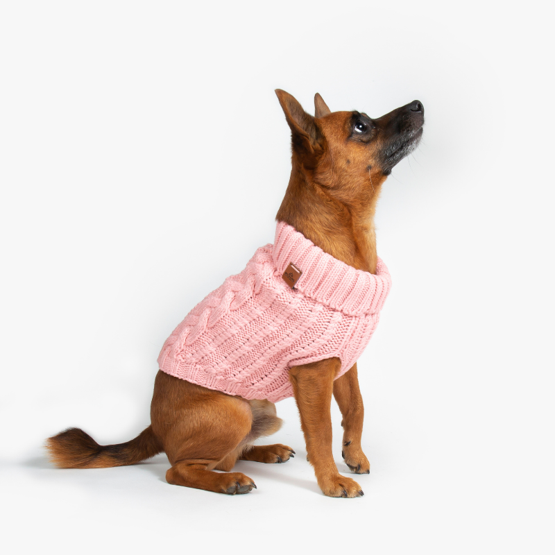 Petco dog cable hotsell