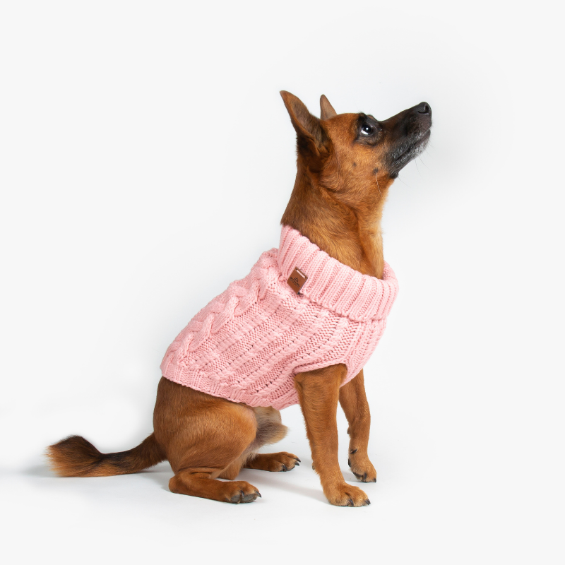 Cable Knit Dog Jumper | Blossom