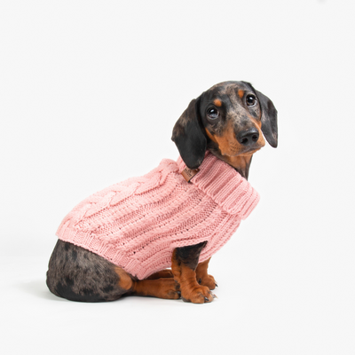Cable Knit Dog Jumper | Blossom