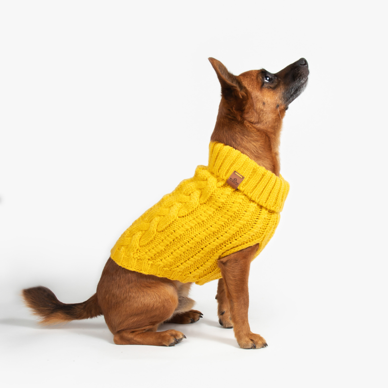 Cable Knit Dog Jumper | Honey