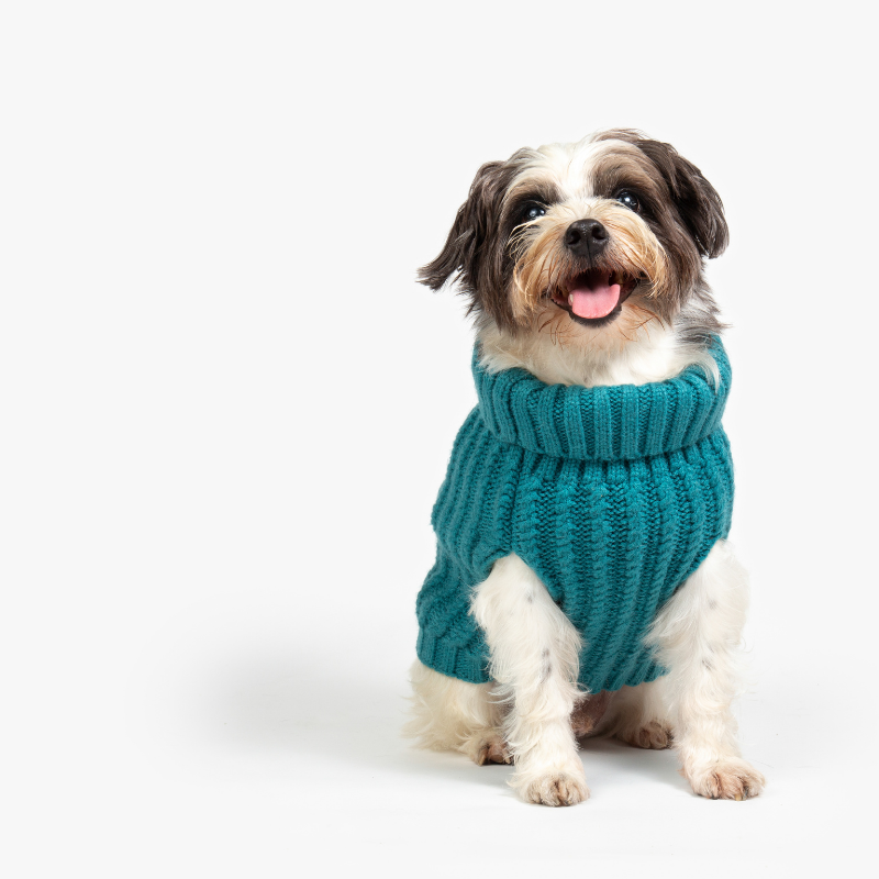 Cable Knit Dog Jumper | Lagoon