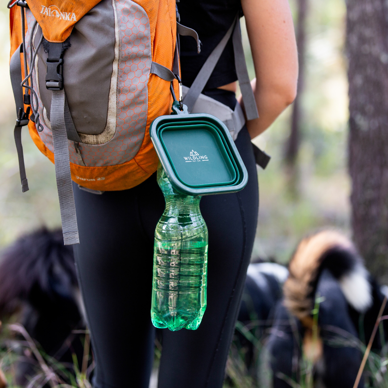 Collapse-a-Bowl | Large