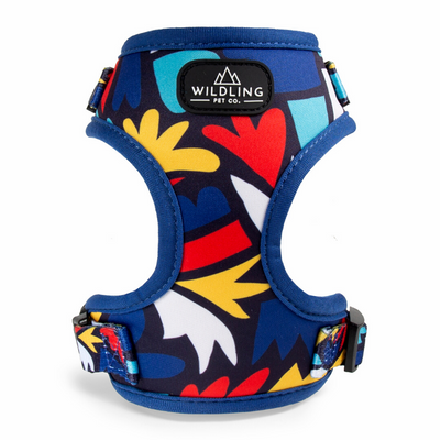 Fiesta Dog Harness