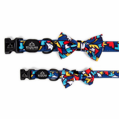 Fiesta Dog Collar