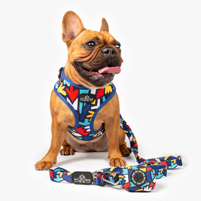 Fiesta Dog Harness