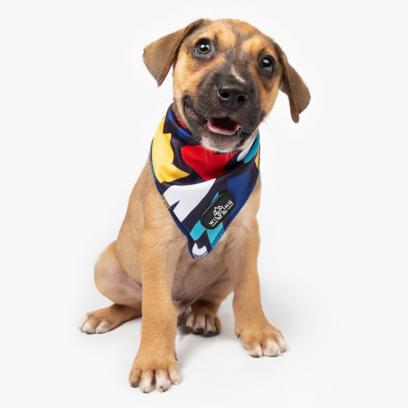 Petco sales dog bandanas