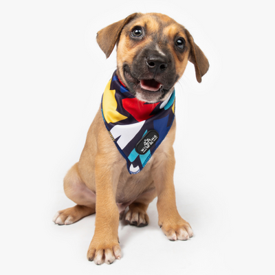 Valentine's Day Dog Bandana  Red Checkered Print: Moose With Me® Pets –  Woolf With Me®