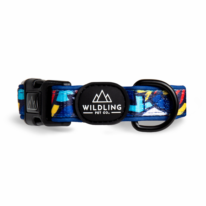 Fiesta Dog Collar