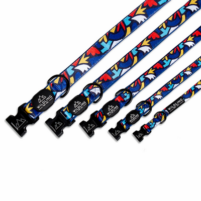 Fiesta Dog Collar