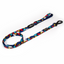 Fiesta Dog Leash