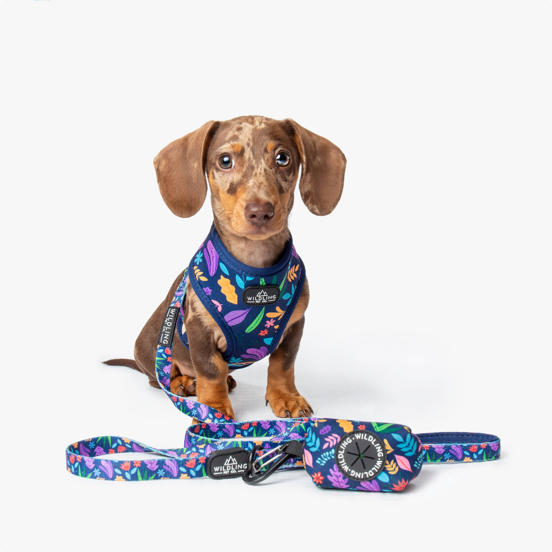 Wildling Pet Co. Flora Dog Collar | Peticular