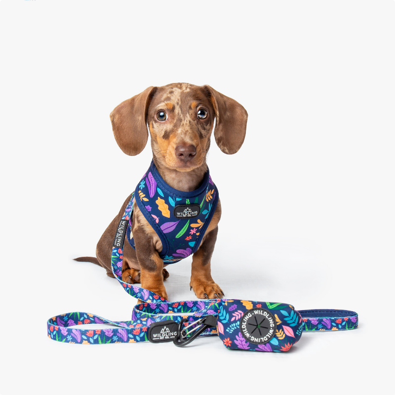 Wildling Pet Co. Flora Dog Leash | Peticular