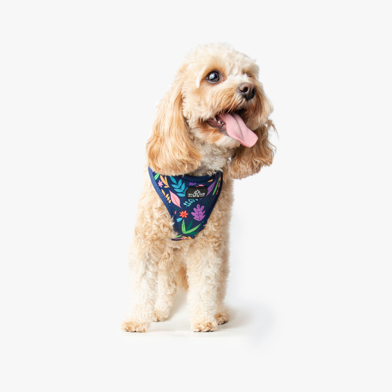 Wildling Pet Co. Flora Dog Harness | Peticular