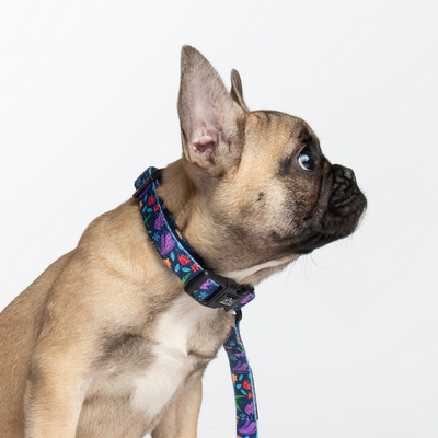 Wildling Pet Co. Flora Dog Collar | Peticular