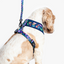 Wildling Pet Co. Flora Dog Harness | Peticular