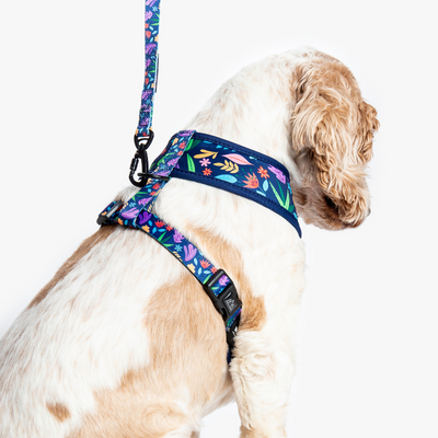 Wildling Pet Co. Flora Dog Leash | Peticular