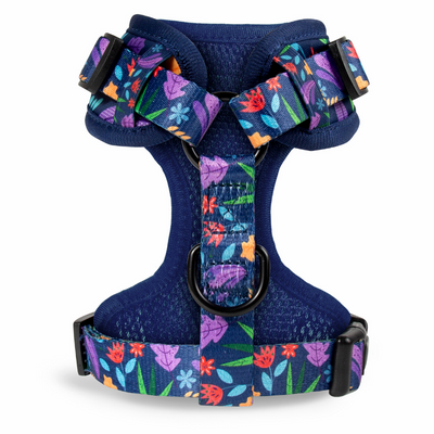Flora fixed Dog Harness