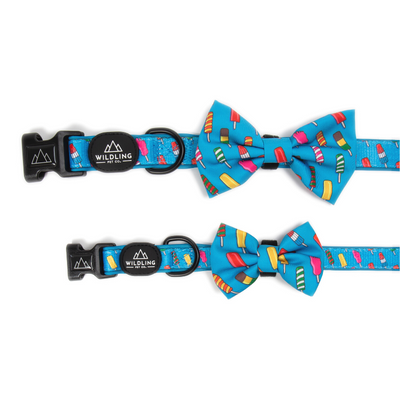 Icepop Dog Collar