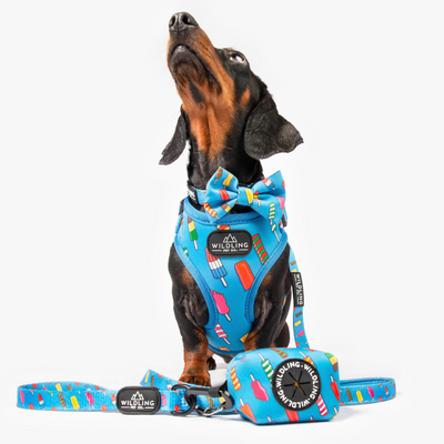 Icepop Dog Harness