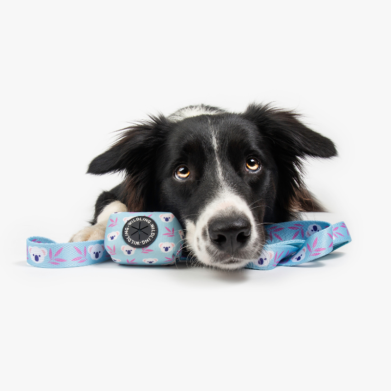 Koala Dog Leash
